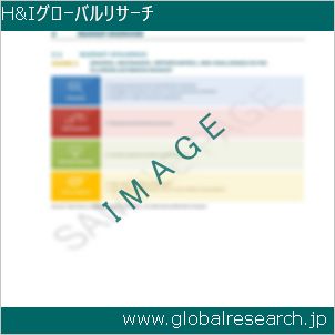 グローバルリサーチ調査レポートのイメージ